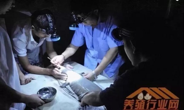 資本試水區塊鏈生物科技+大健康，場景應用時代已然來臨！
